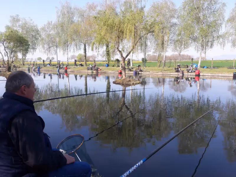 Journée de pêche à l'étang