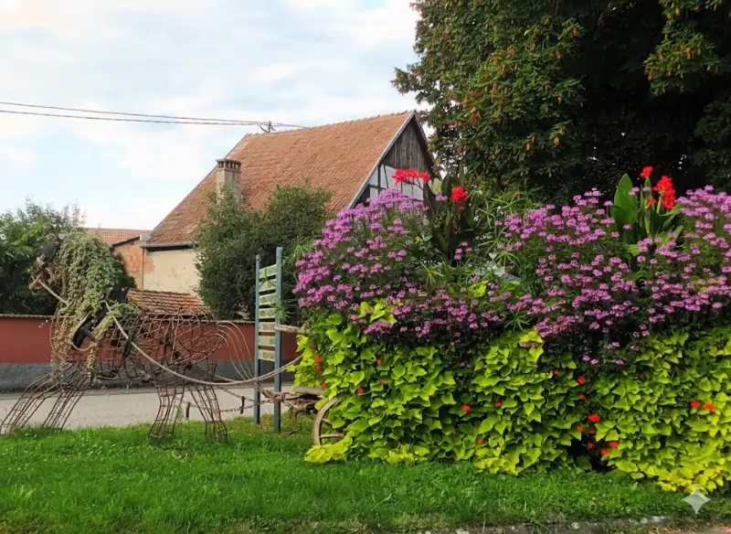 Fleurissement du Zimmerplatz