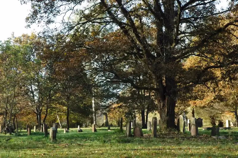 Cimetière juif