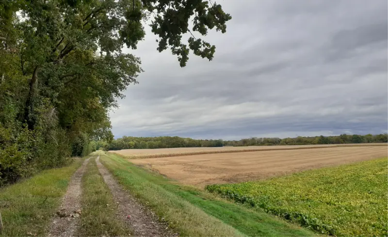 Digue des hautes eaux_dite digue Tulla