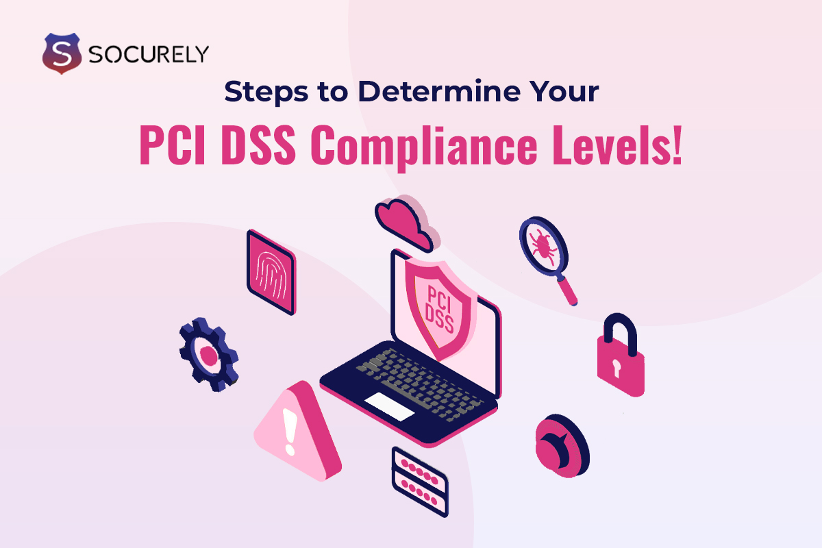Illustration for the Ceel article: Steps To Determine Your PCI DSS Compliance Levels