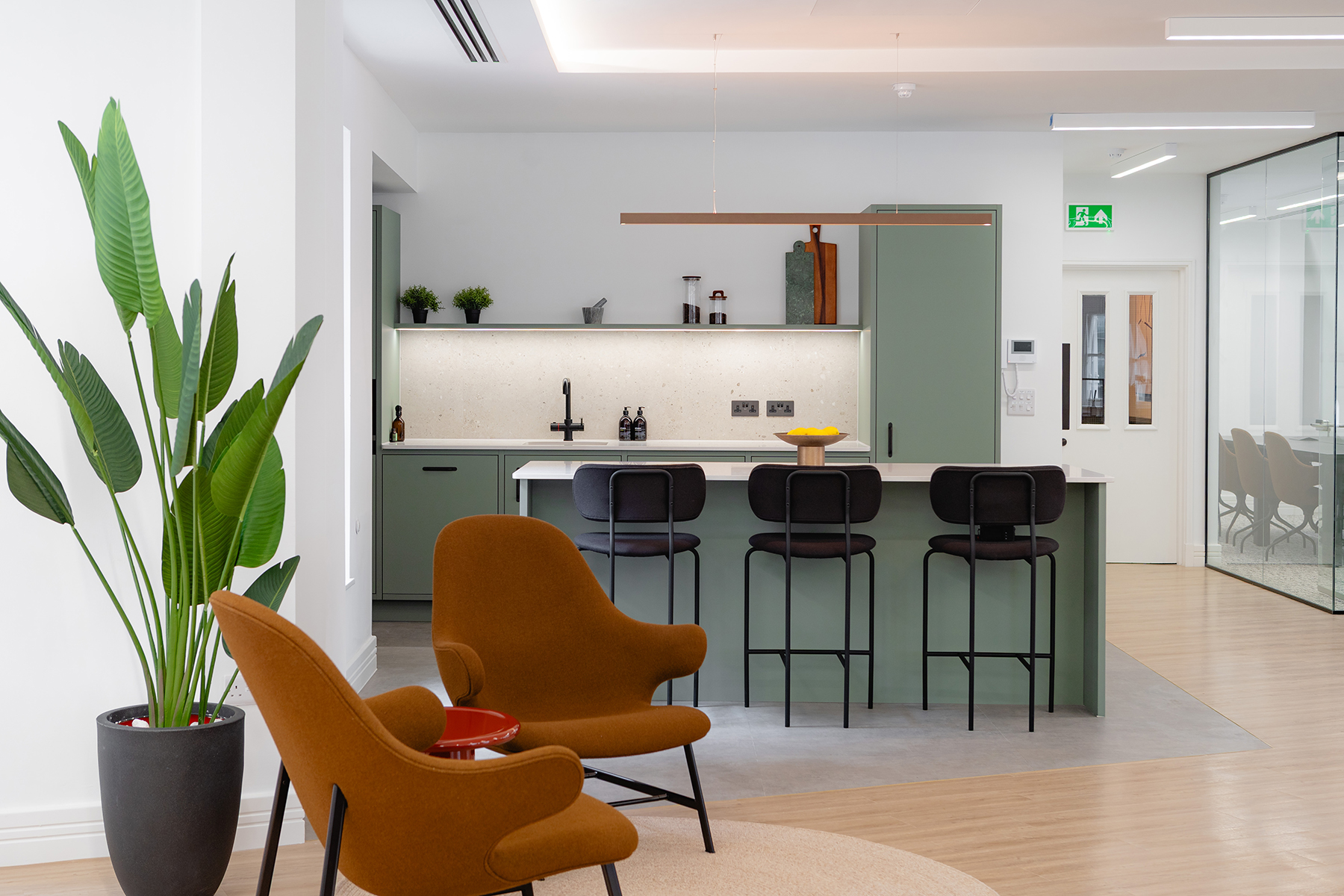 Modern kitchen area with green cabinets, black bar stools, two brown armchairs, and a large potted plant.