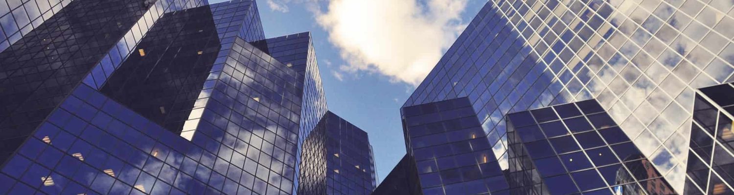 Banking sector investments: idea and process