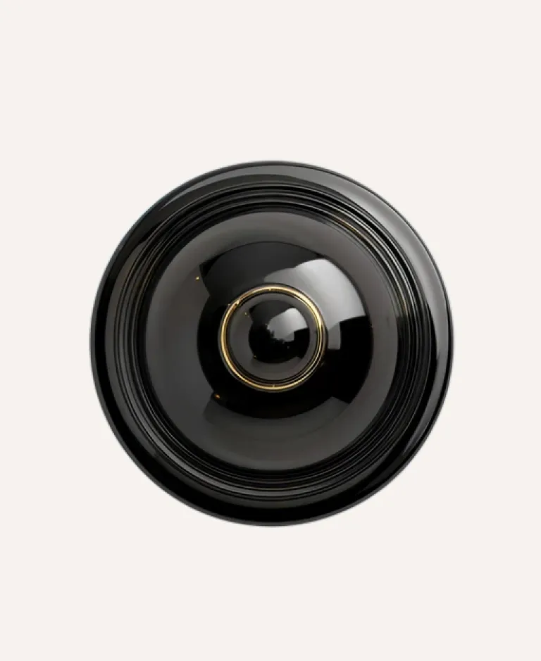 Glossy black ceramic plate with a gold-rimmed central knob resembling a decorative lid.