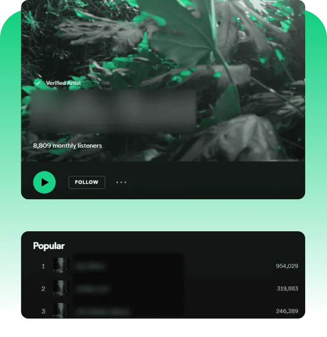 Who Should Think About Buying Spotify Plays?