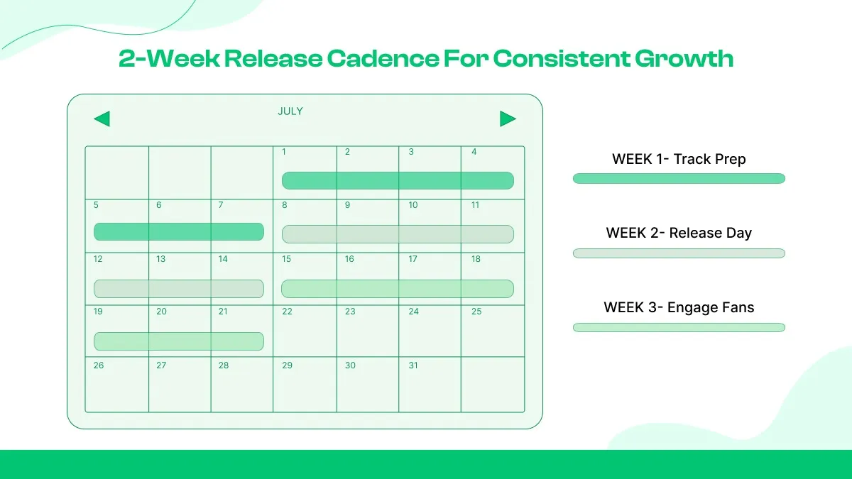 Week Release Cadence for Consistent Growth