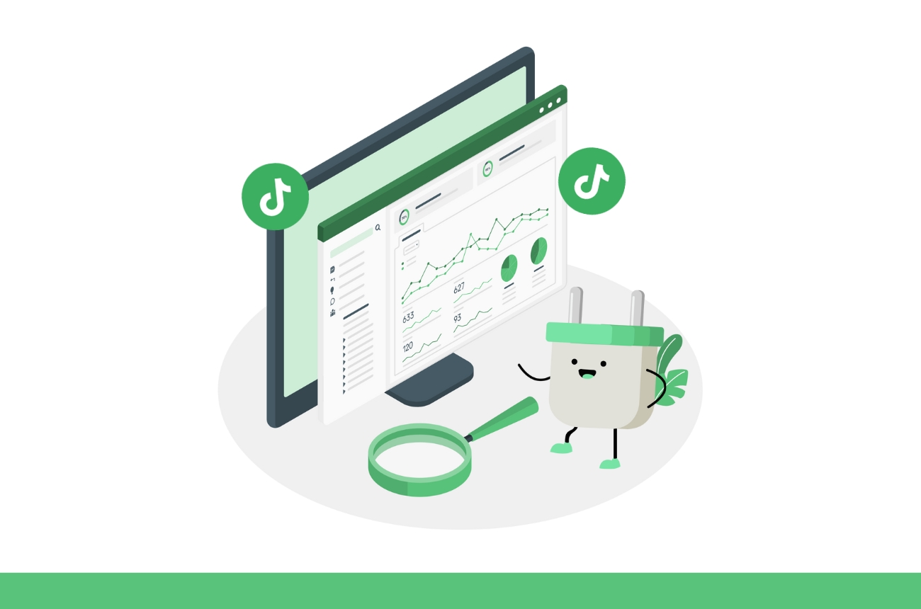 TikTok Analytics and Performance Tracking