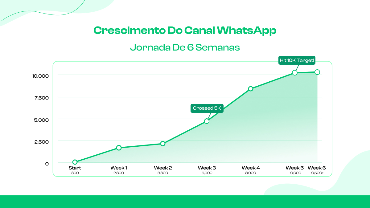  Crescimento do canal WhatsApp