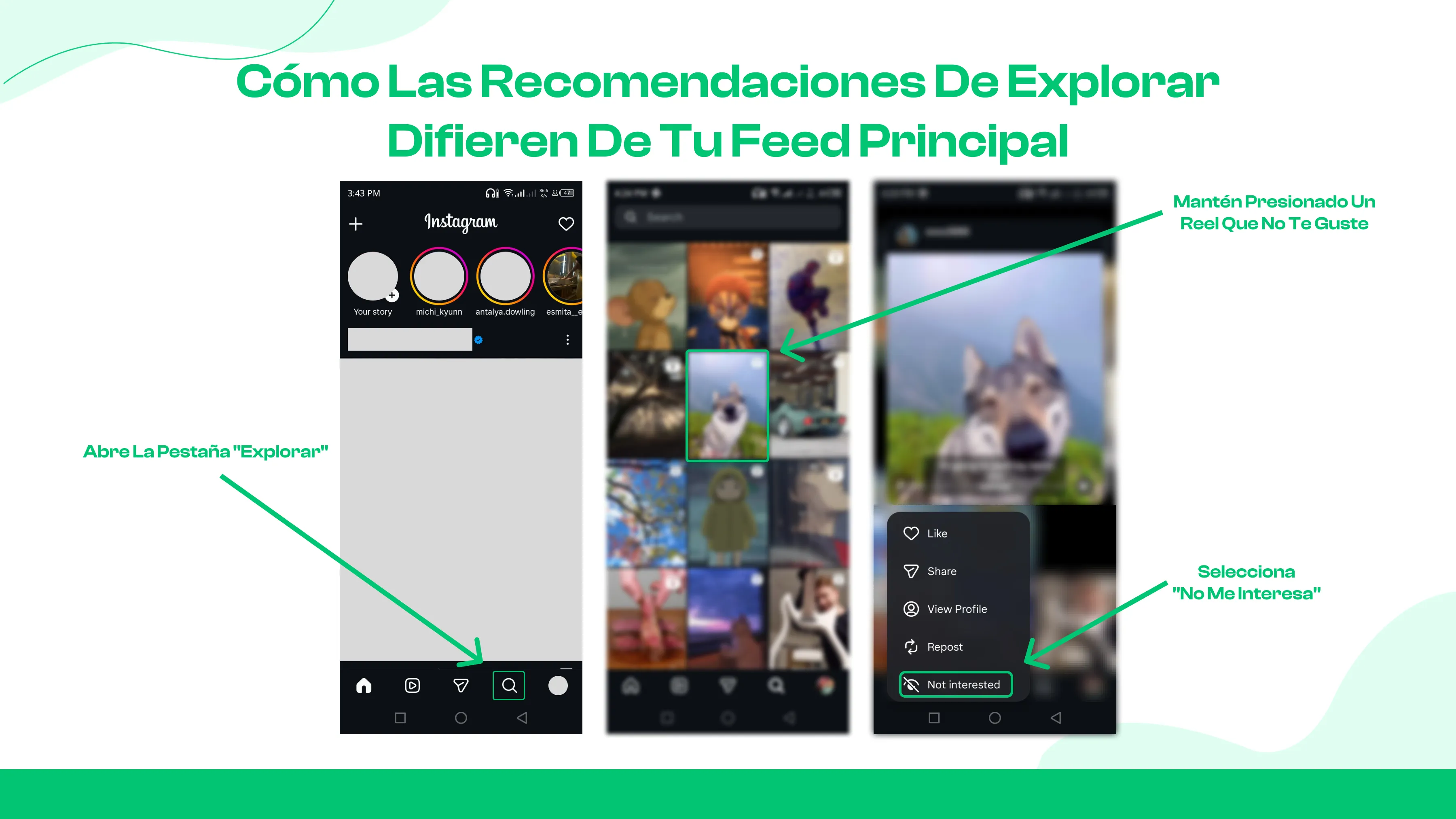 ¿En qué se diferencian las recomendaciones de Explorar del Feed?
