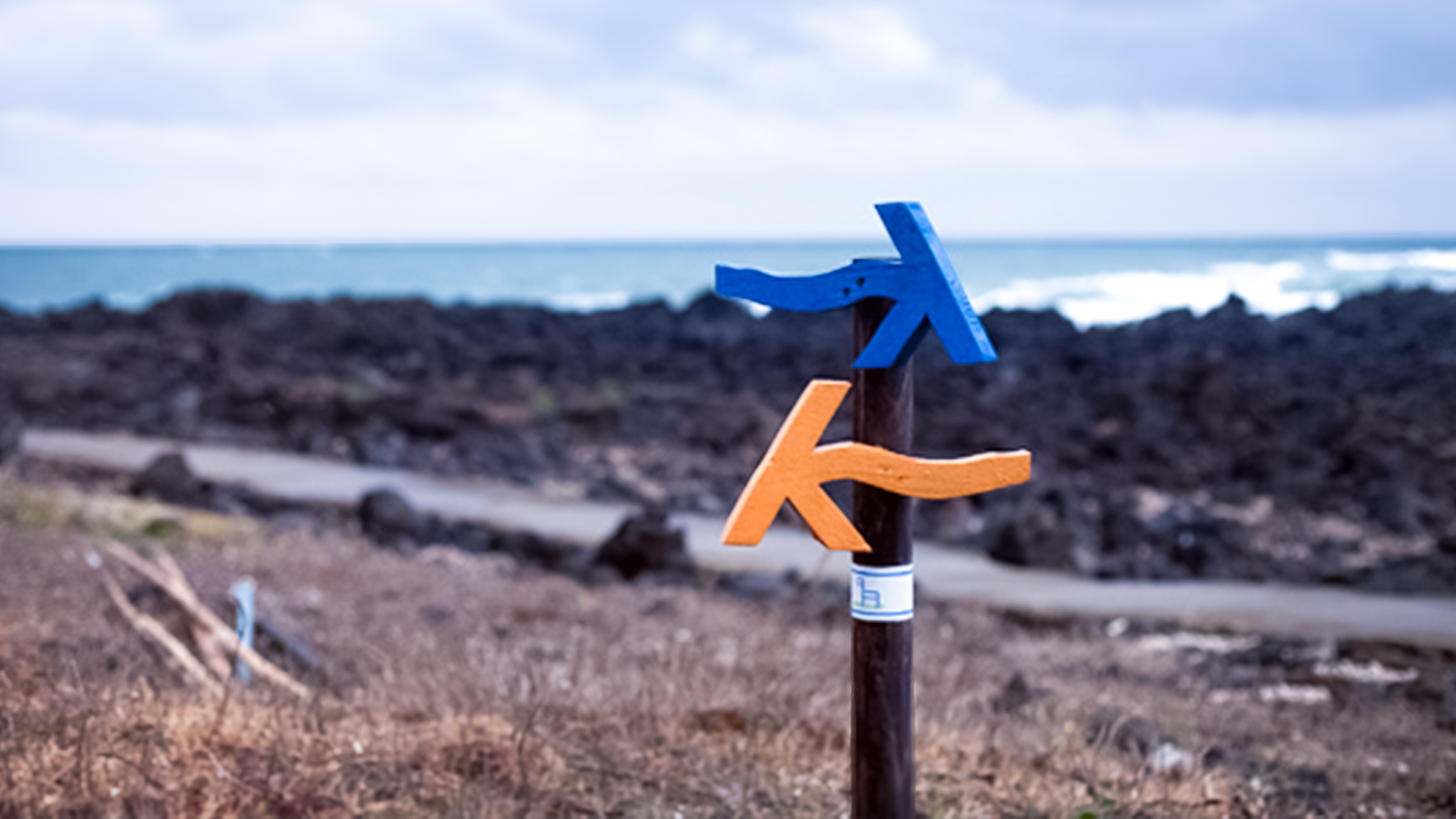 '제주늘보의오후' 는 근처에 올레길 12코스, 13코스가 있습니다.
There are 12 and 13 courses of Olle-gil near 'JEJUNEULBO'.