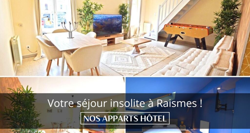 LOGEMENT RAISMES