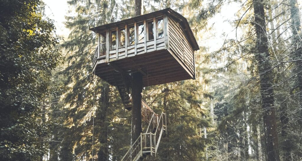 cabane dans les arbres