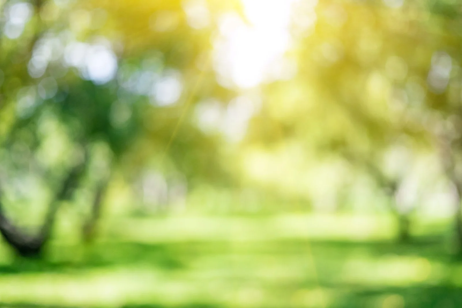 Que faire à Liévin ? 12 Activités à ne pas Manquer !