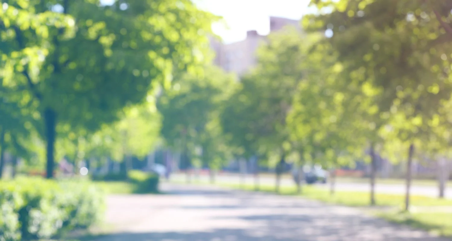 Que faire à Valenciennes ? 17 choses à ne pas manquer !