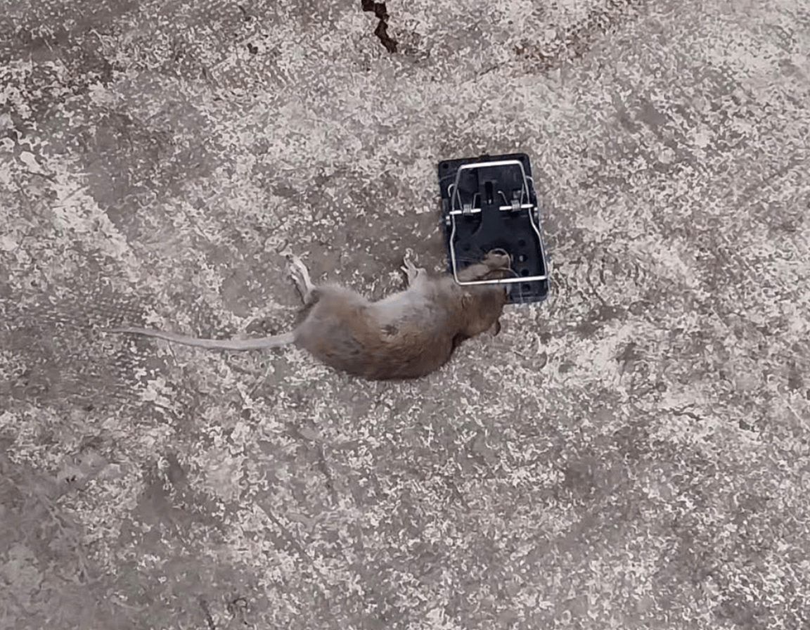 Service Details Image