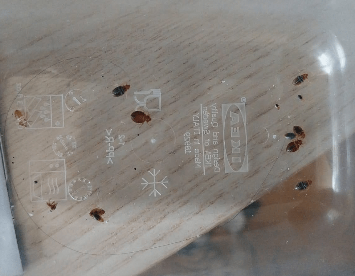 Service Details Image