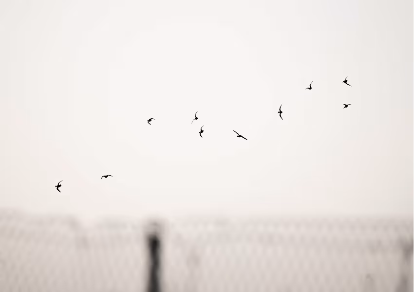 Breaking The All-or-Nothing Cycle