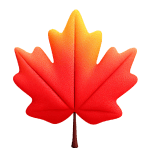 Illustration of maple leaf