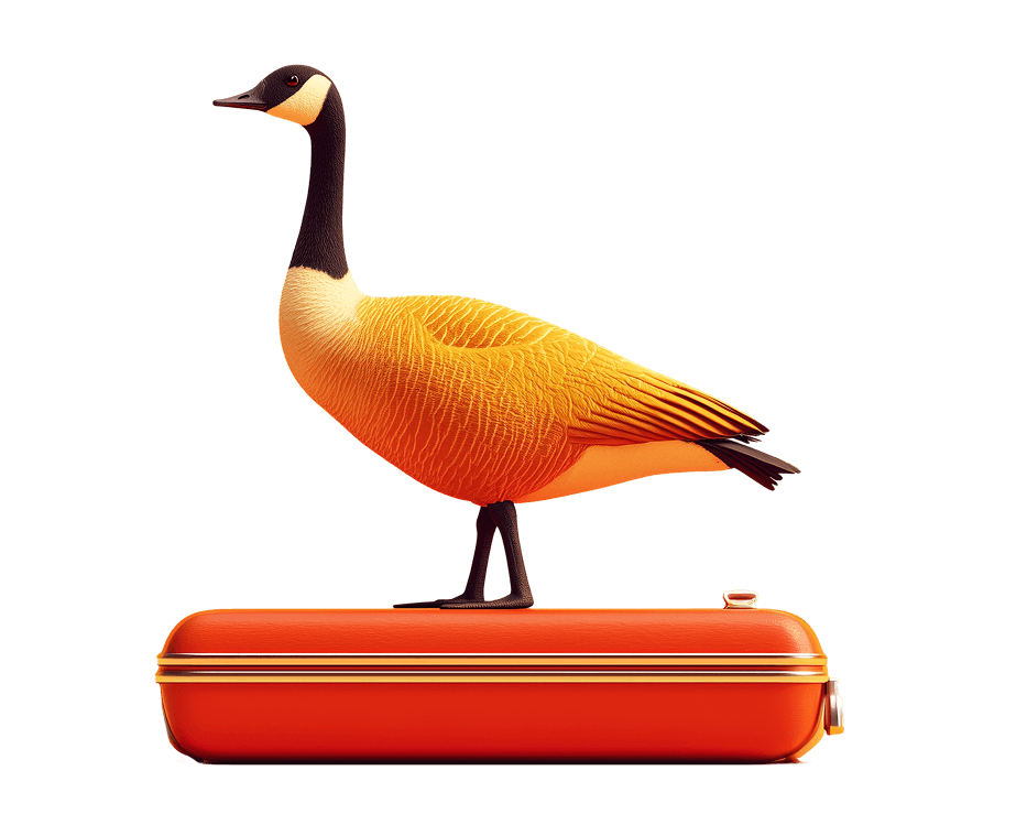 Illustration of goose