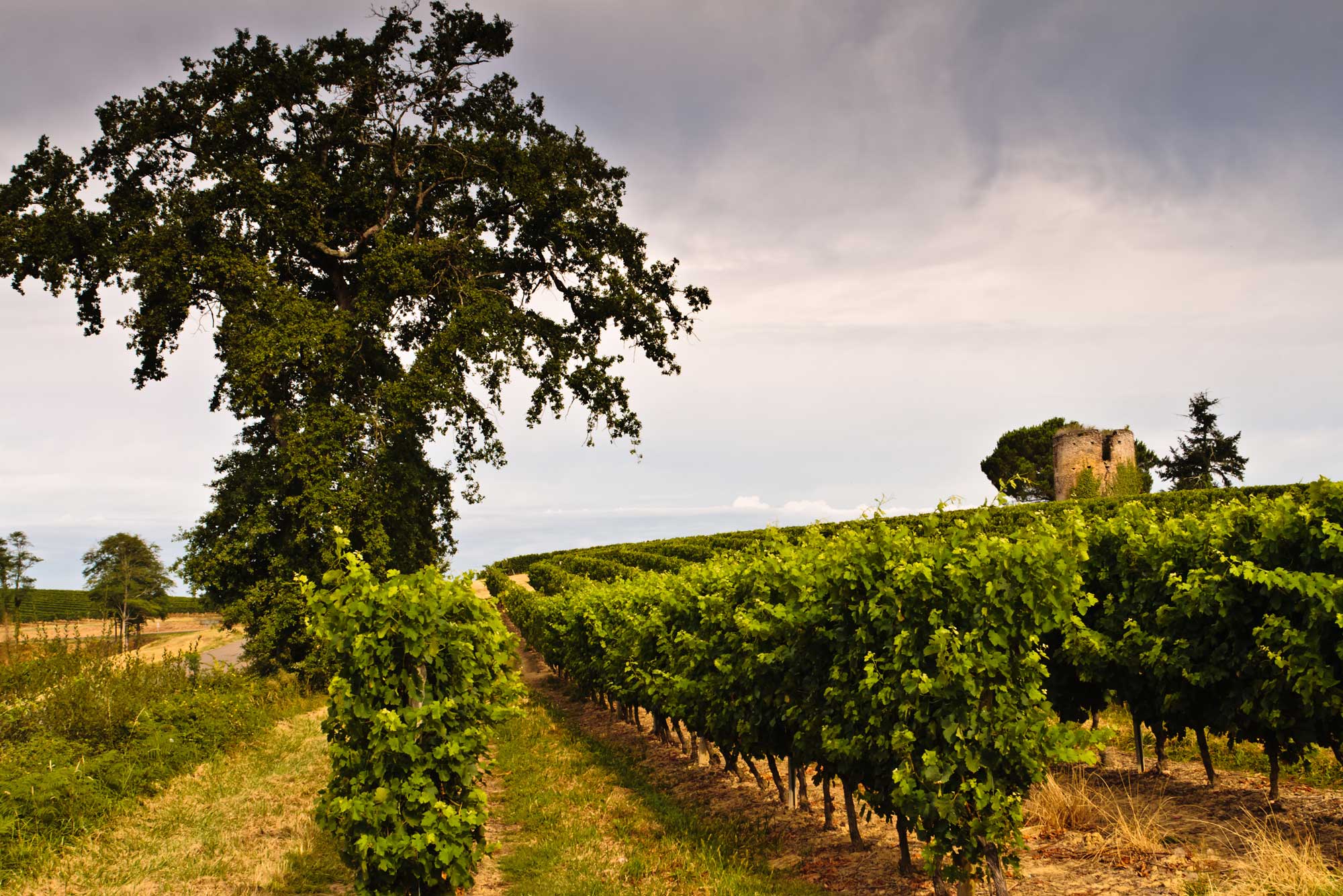 Cloche au Musée d'art campanaire