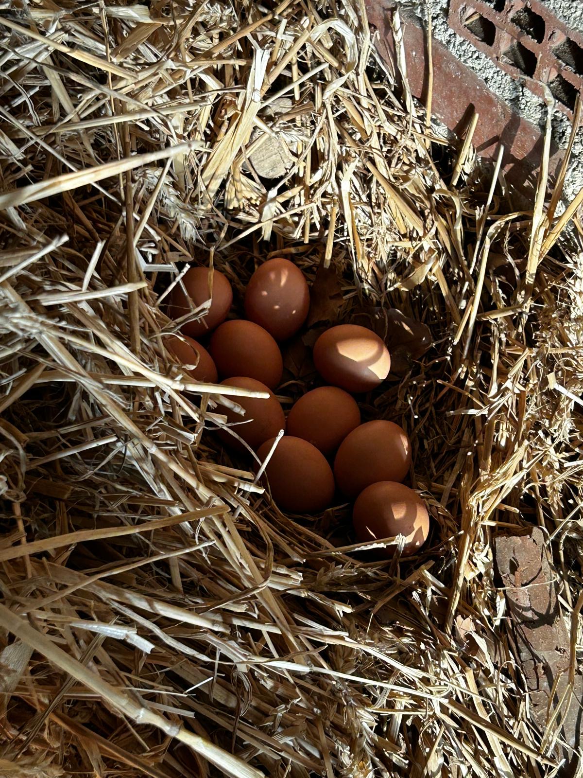 Fassade einer großen historischen Kathedrale mit zwei hohen Türmen und goldverzierten Toren, davor steht eine Frau.