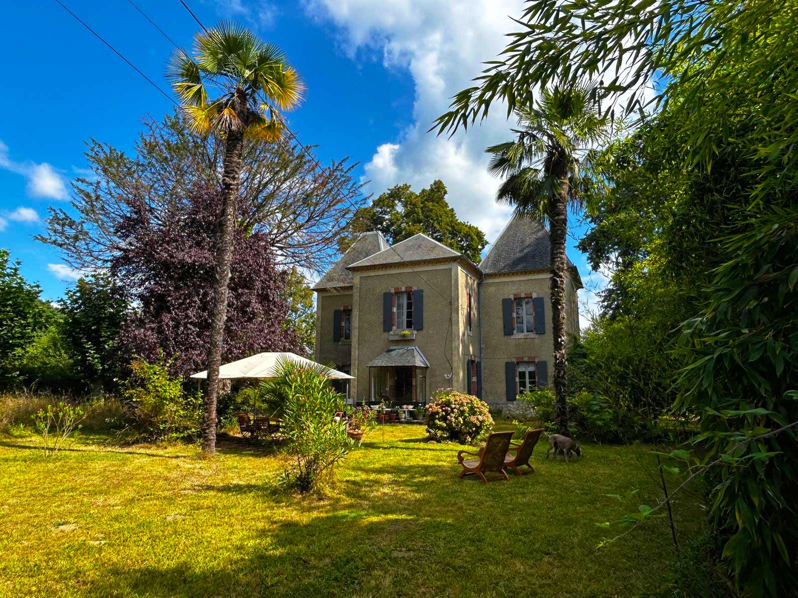 Weinberg mit grünen Reben und großem Baum links, im Hintergrund eine alte Steinruine unter bewölktem Himmel.
