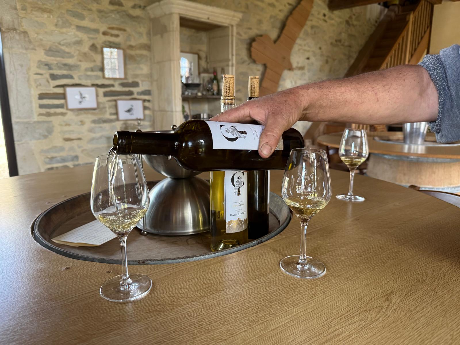 Glas Weißwein neben einem blauen Teller mit frischen Austern auf Eis und einer Zitronenscheibe.