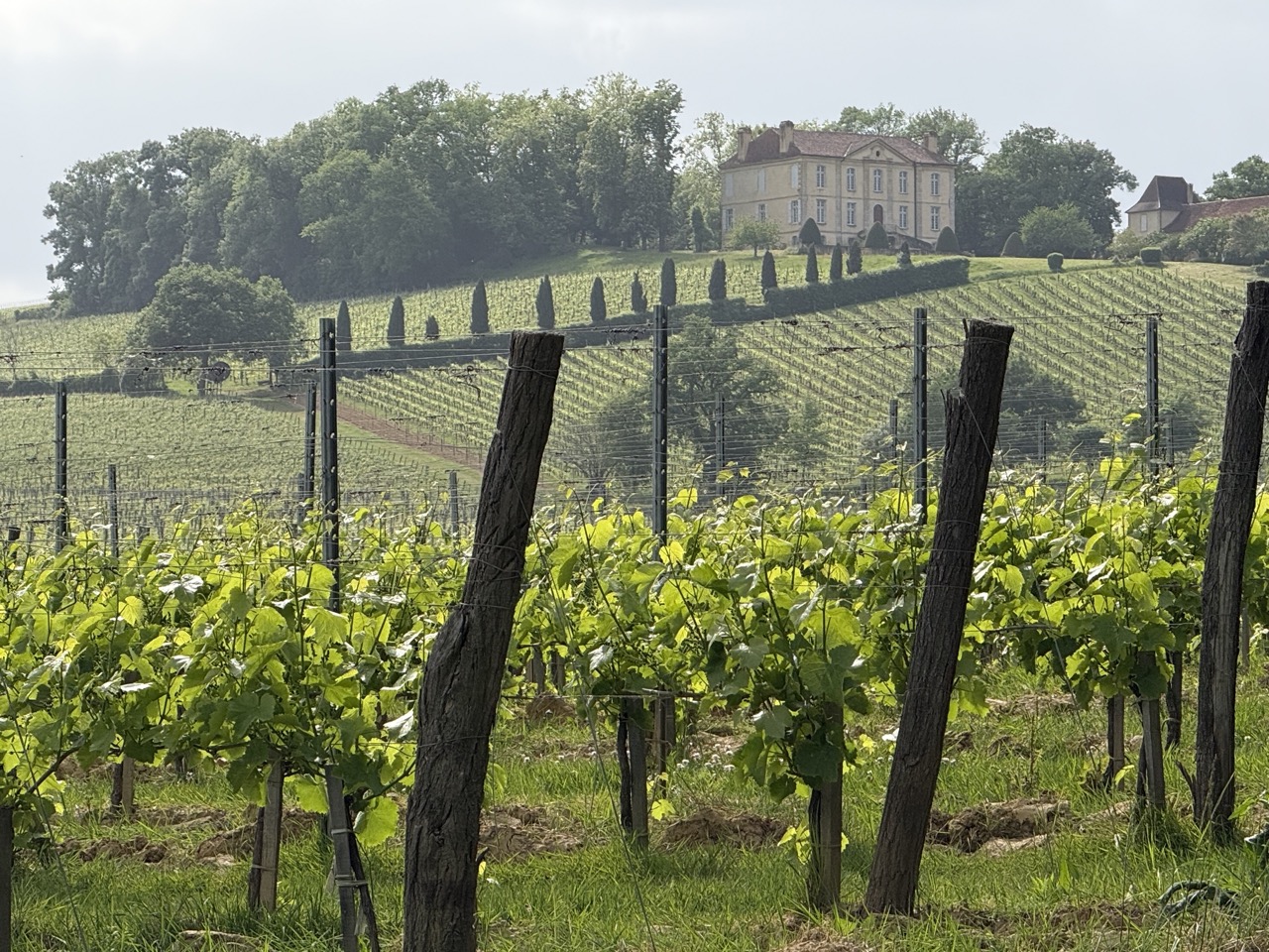 Gros plan d'un verre rempli d'Armagnac doré devant une boîte en bois portant l'inscription 'ARMAGNAC'.