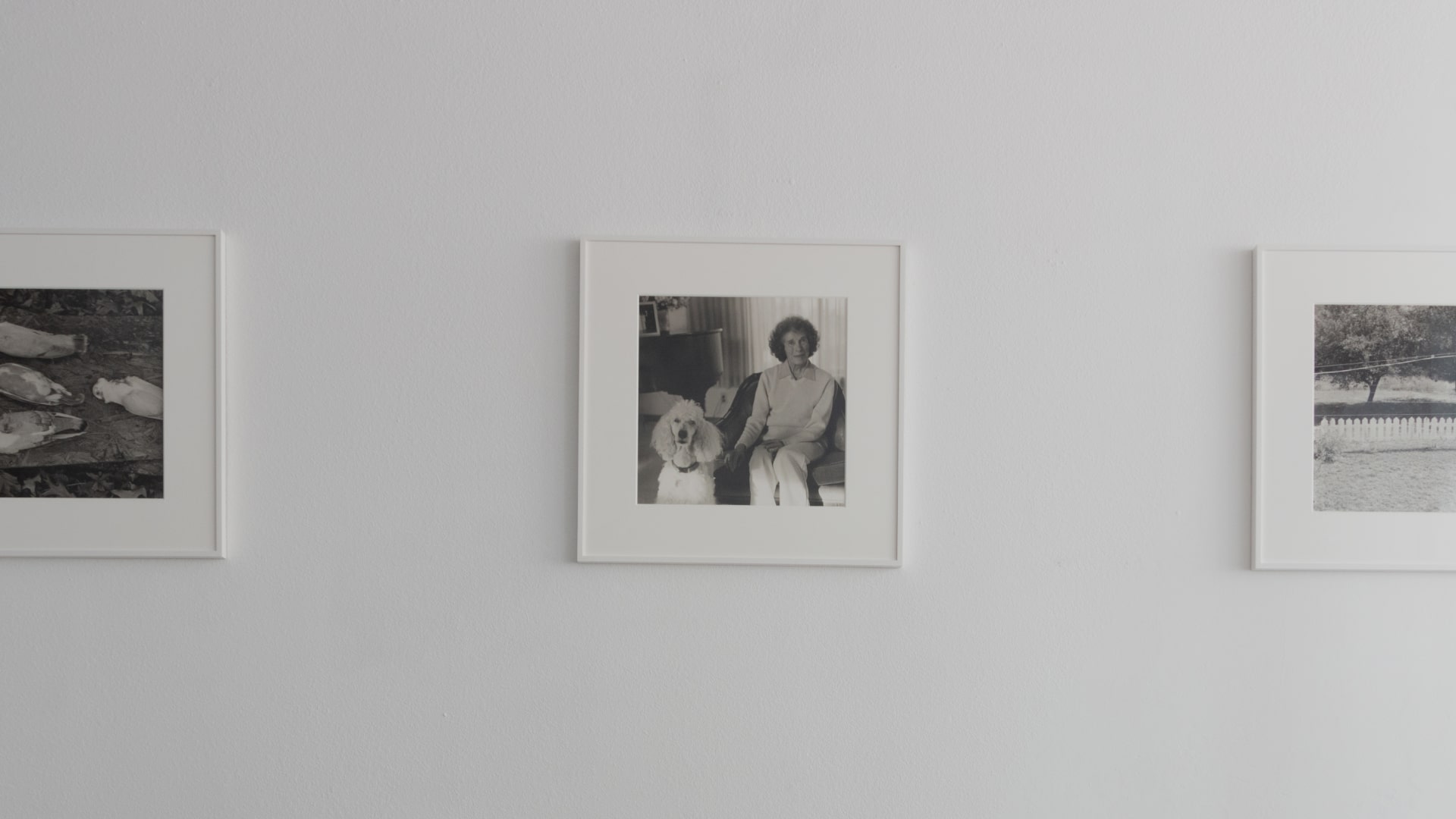Three framed black-and-white photographs hung horizontally on a white wall, with the central photo showing a woman sitting next to a dog.
