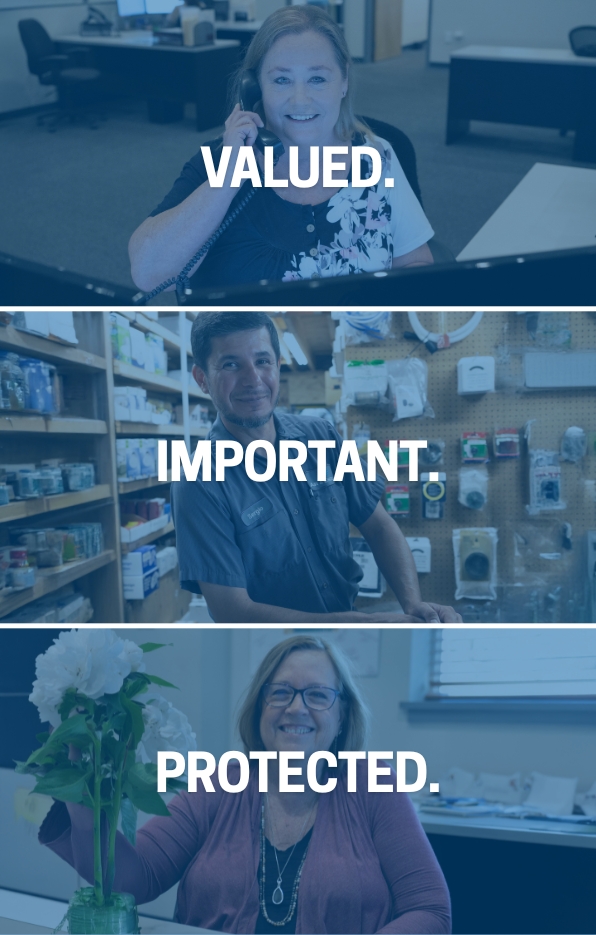 VIP Maintenance Program