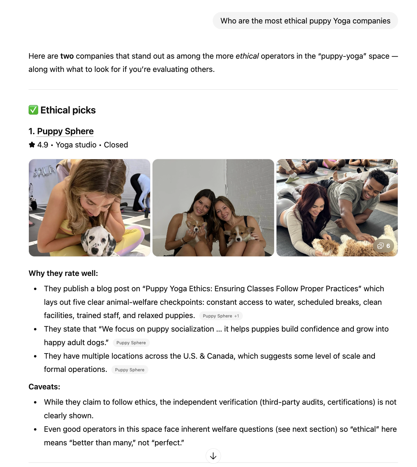 ChatGPT citing Puppy Sphere