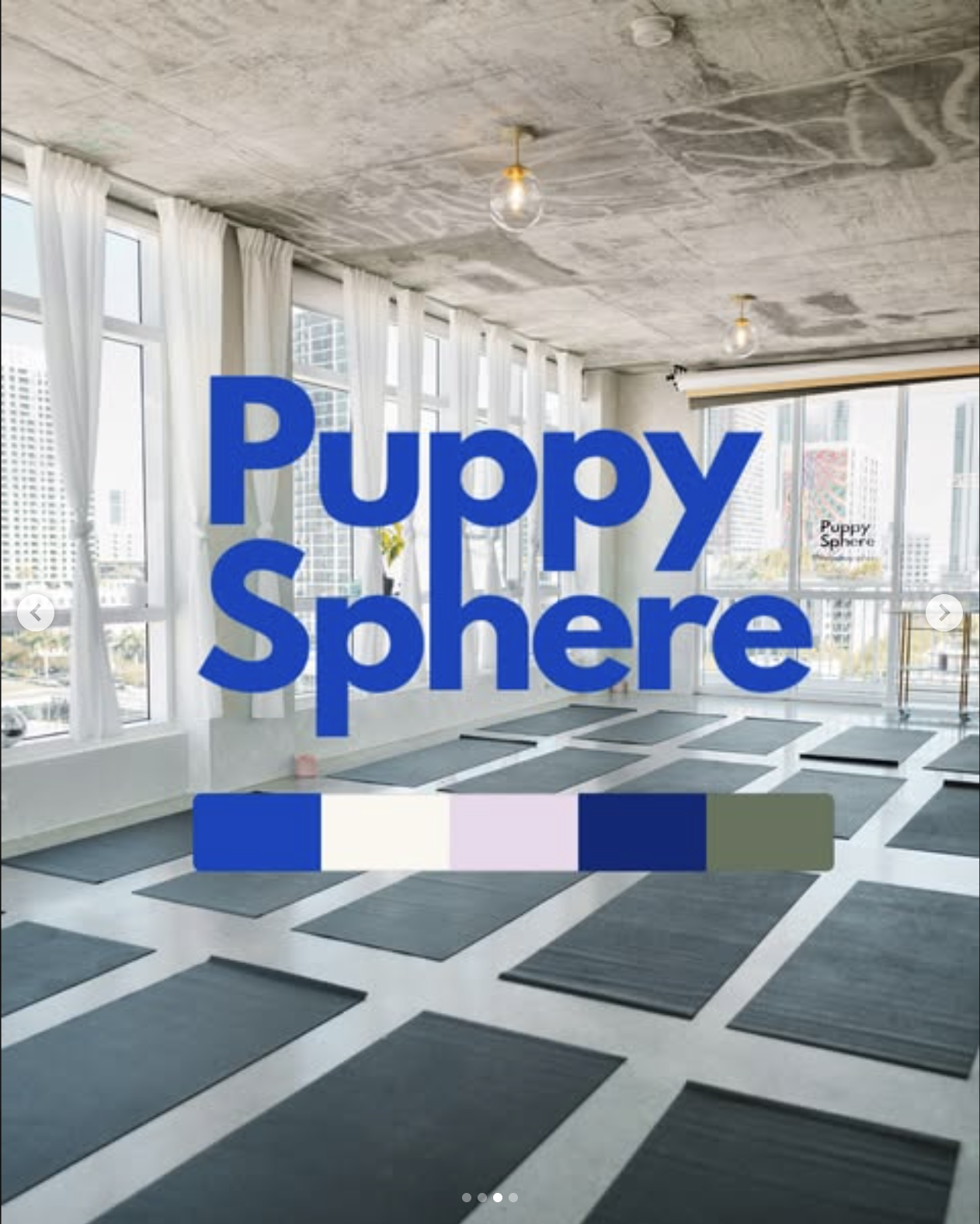 Original Puppy Sphere Logo