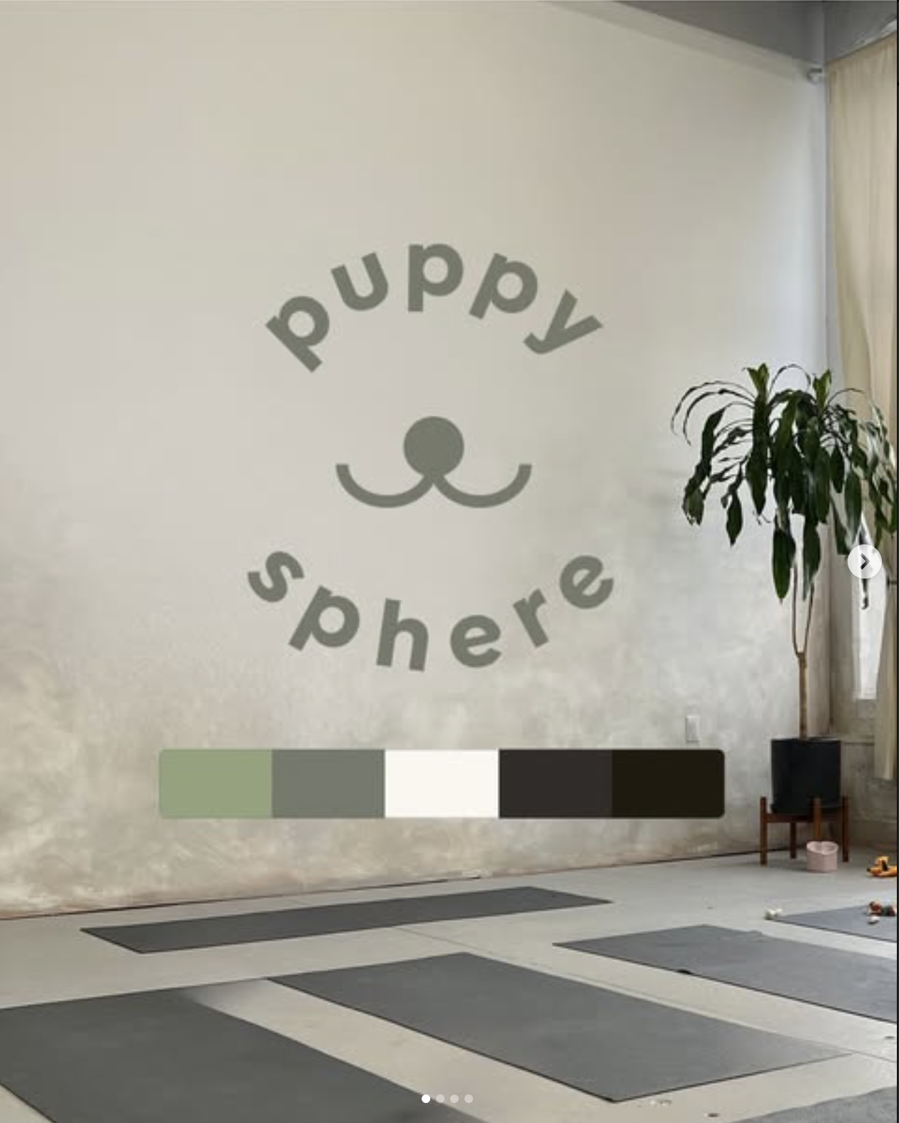 New Puppy Sphere Logo