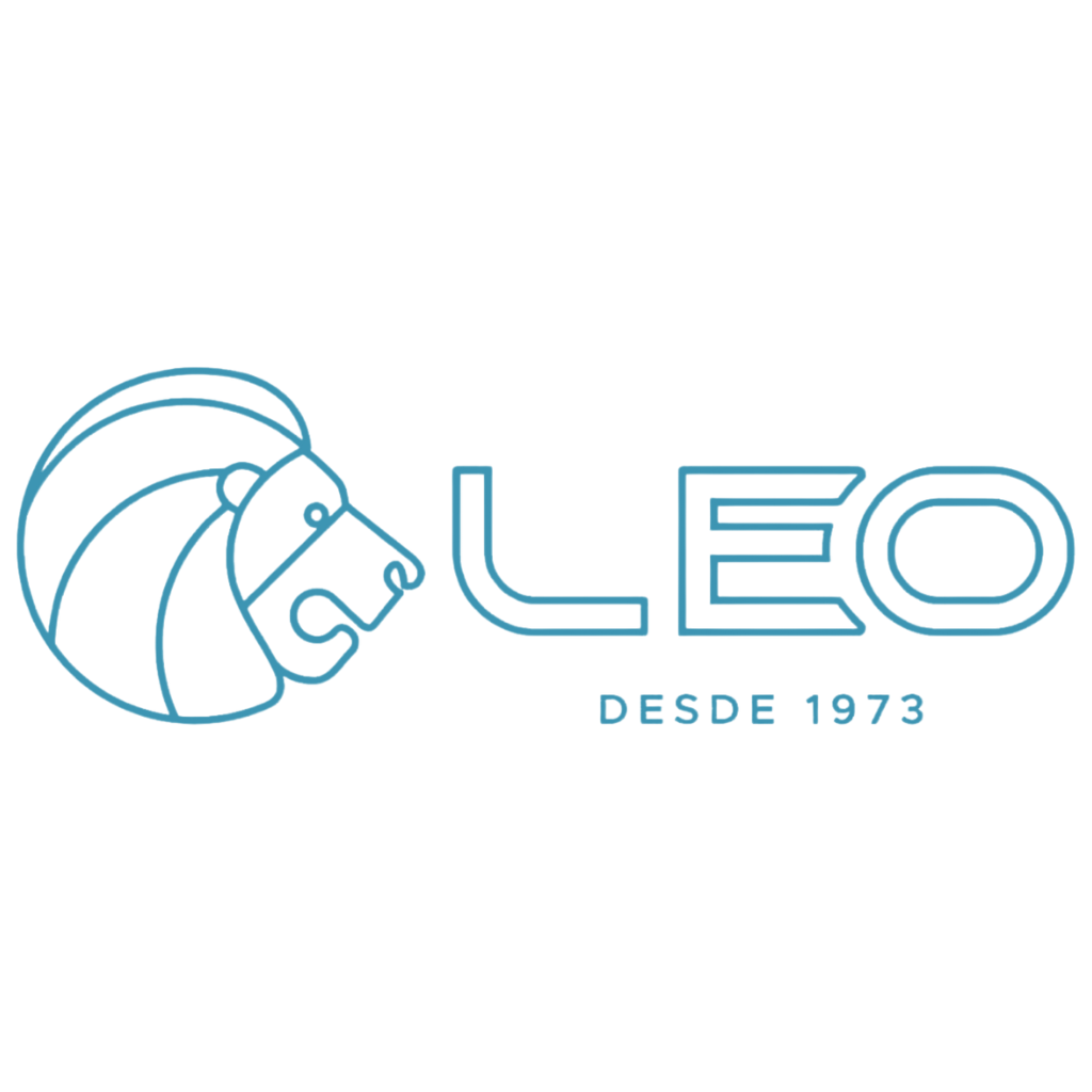 Logo featuring a stylized blue line drawing of a lion's head facing right with the text 'LEO' and 'DESDE 1973' underneath.