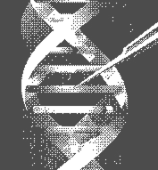 AI for Healthcare innovation solutions