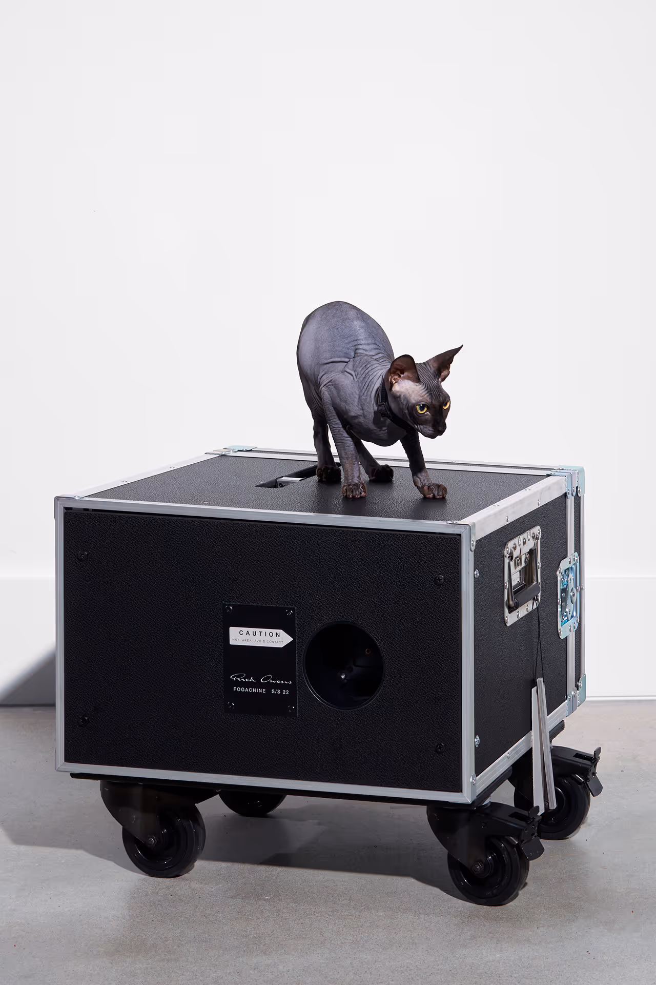 Hairless Sphynx cat with yellow eyes standing on a black wheeled equipment case.