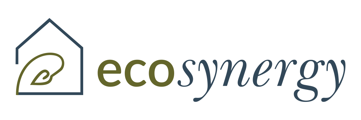 Ecosynergy logo with a minimal house outline containing a leaf symbol on the left and the word 'ecosynnergy' in green and dark blue text.