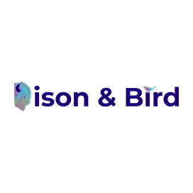 Ison & Bird logo with colorful abstract bird graphic on the left and a smaller bird icon above the letter 'r'.