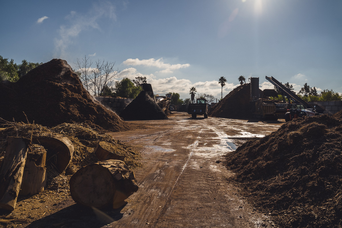 Ecomulch's top yard showing tree debris about to be ground into mulch.