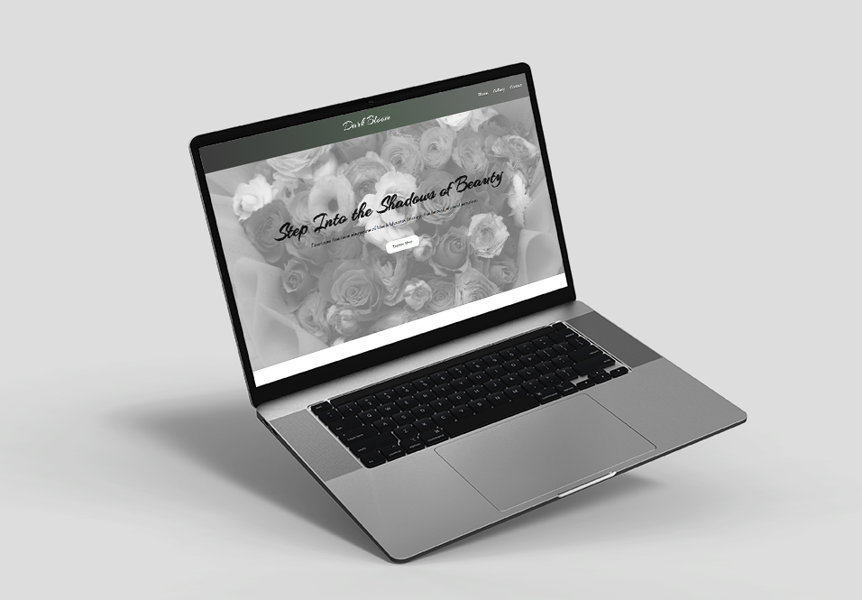 Portfolio Image