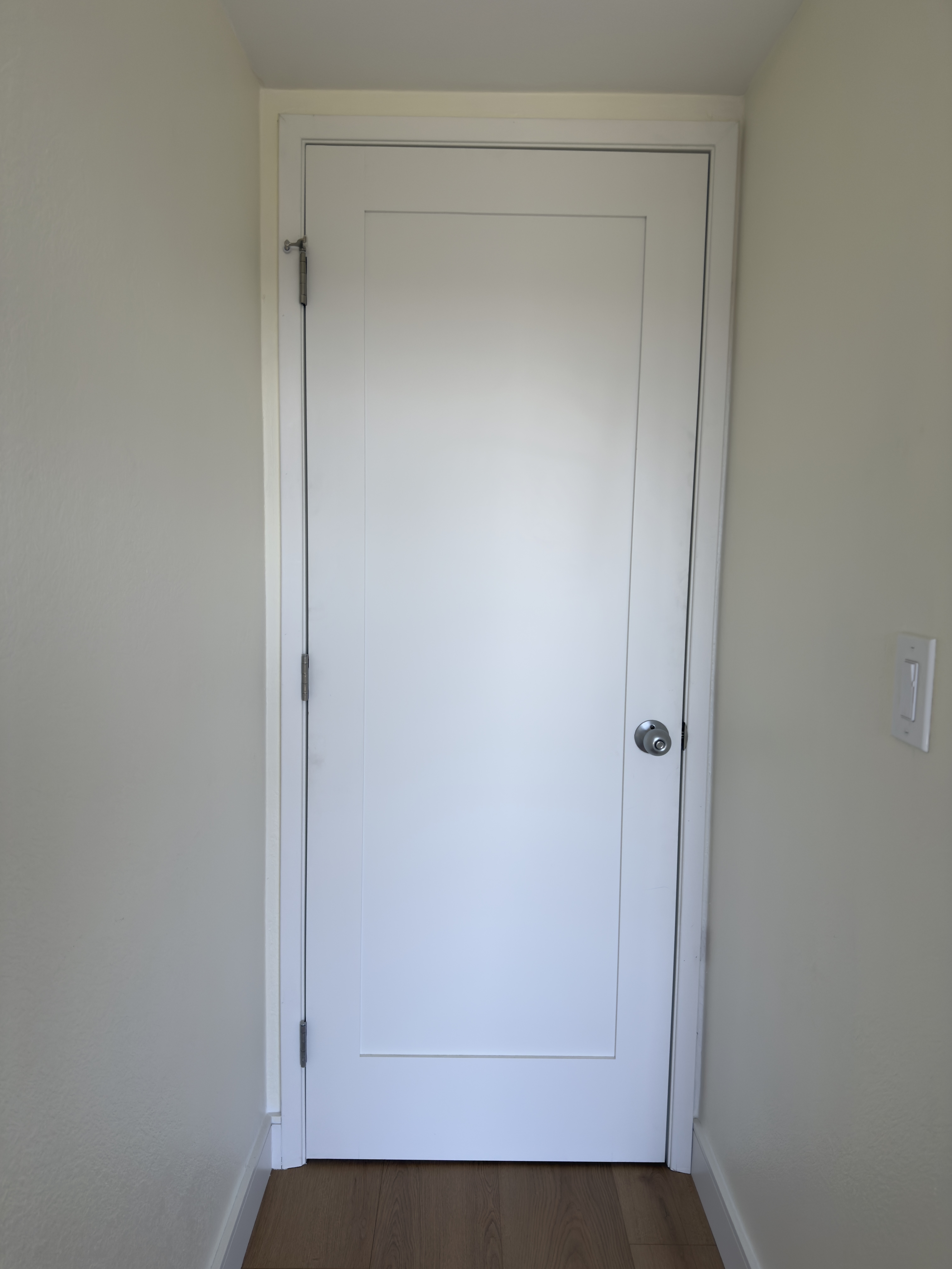 One-panel shaker interior door with white casing, baseboard trim, wood-look flooring, and painted walls.