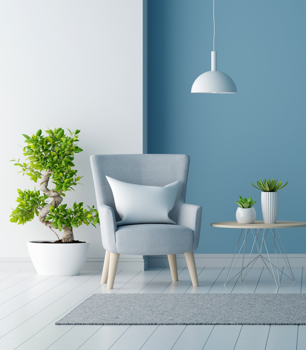 Project-image