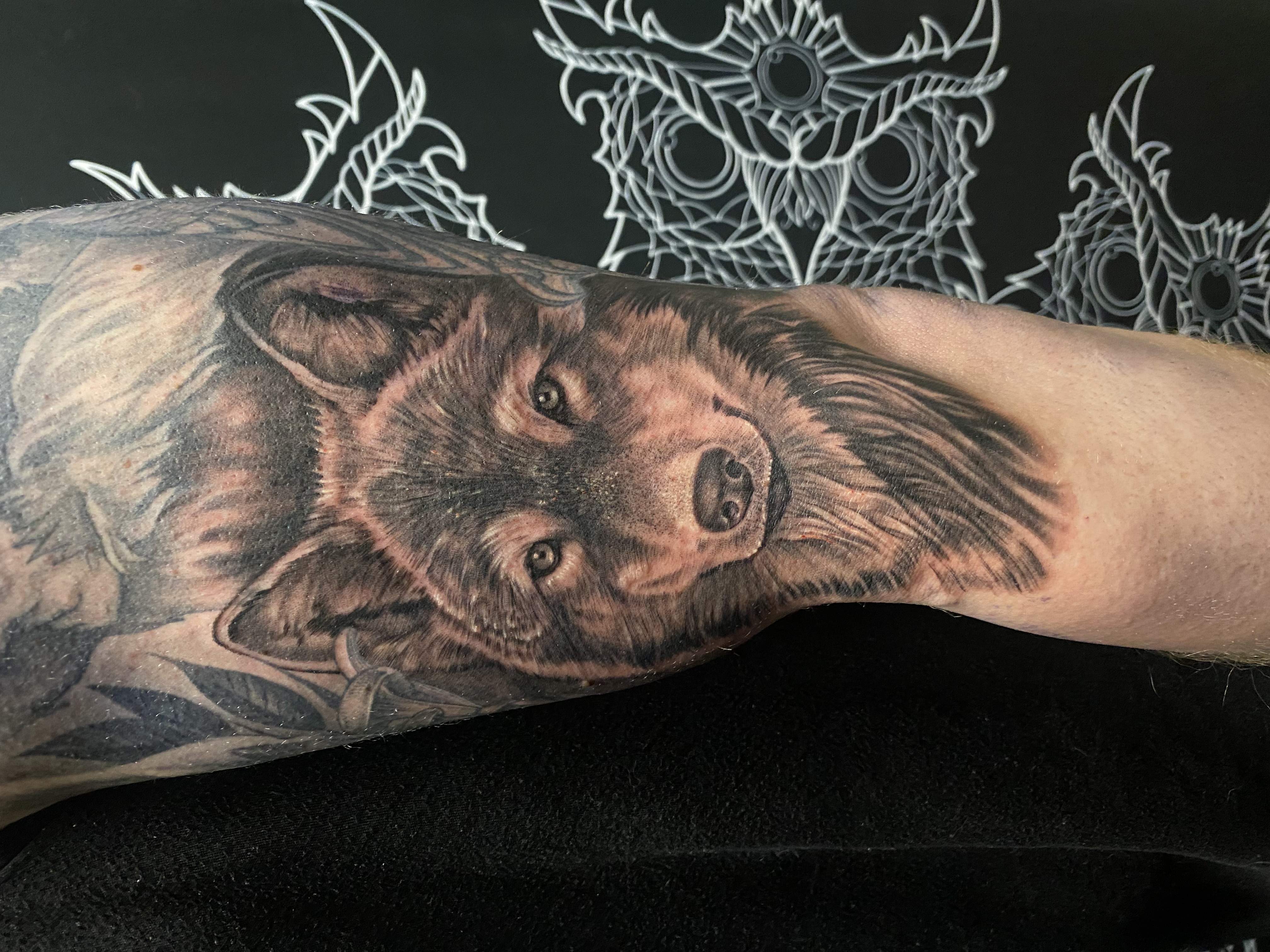 Black and gray tattoo of a stylized horse head with flowing mane and bridle on a forearm.