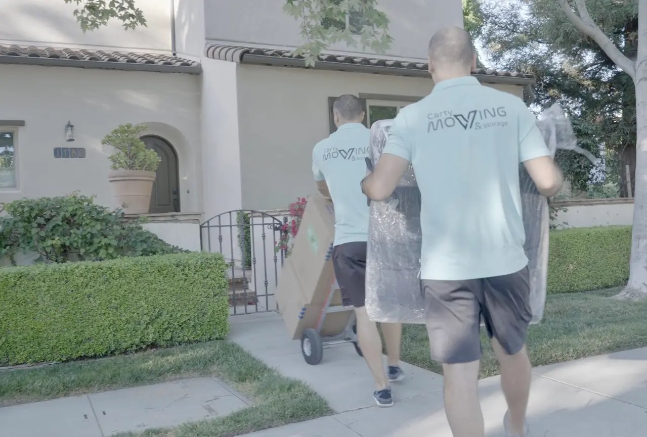 our professional team image