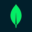 A stylized green leaf logo with a central line on a black background.