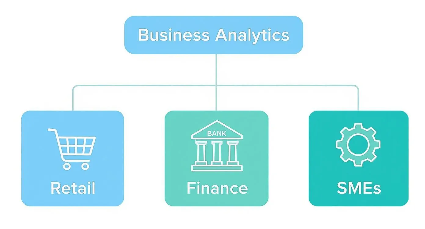 Infograficzne drzewo decyzyjne pokazujące, w jaki sposób analityka biznesowa jest wykorzystywana w handlu detalicznym (doświadczenie klienta), finansach (zarządzanie ryzykiem) i MŚP (wydajność operacyjna).