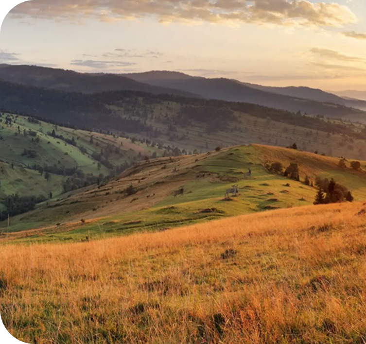 Rolling hills with golden grass in the foreground and green slopes under a partly cloudy sky at sunset.