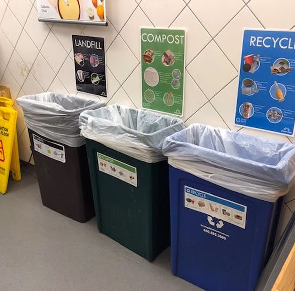 Three waste bins labeled Landfill, Compost, and Recycle with corresponding instructional posters above each bin on a tiled wall.