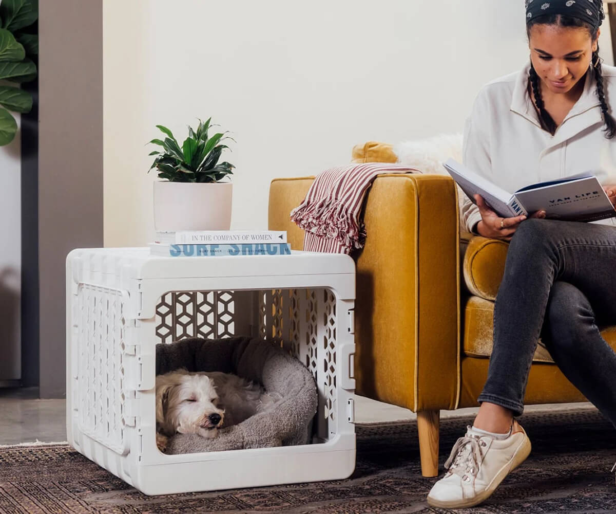 Small white dog sleeping in a gray bed inside a white crate next to a woman reading on a mustard yellow couch.