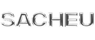 How Sacheu Increased Total Orders by +8.77% with PDP Shoppable Video Carousels